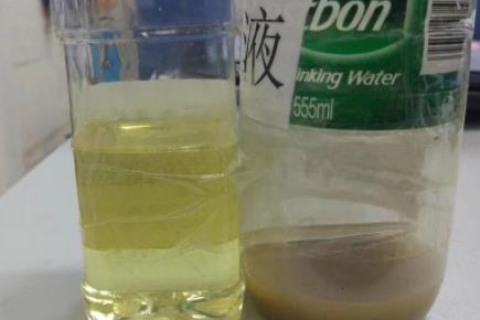 ����ʽ�����ʽ�;����������ֹ��˾��ȸ�����